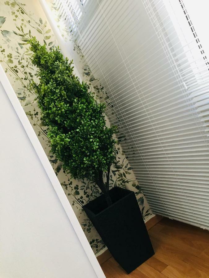 Apartmán Apartamento Good Vibes Zaragoza Exteriér fotografie